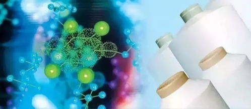 生物基纖維與非織造布 技術融合的創新火花